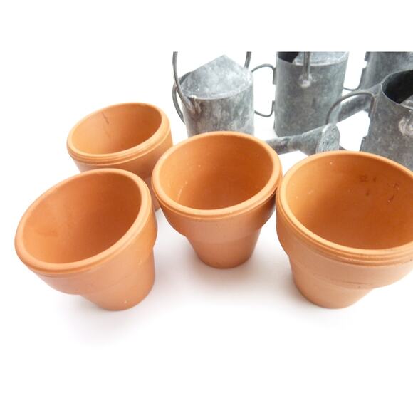 Miniature Terracotta Flower Pots an Watering Can Set Fairycore Succulents Doll - Picture 4 of 5